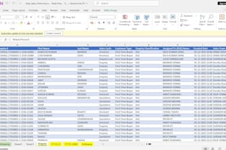 do professional excel data entry data cleaning and mis reports