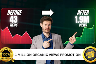 promote youtube video SEO, ads campaign discovery to 1 million views organically