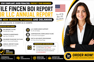 file fincen boi report or llc annual report in new mexico, wyoming and delaware