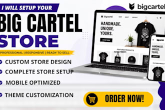 design, redesign, and set up a professional big cartel store or godaddy website