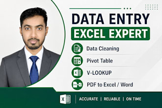 be your microsoft excel expert for data analysis and reporting