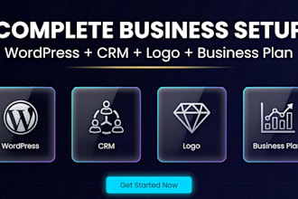 build a wordpress website, business logo design, and business plan