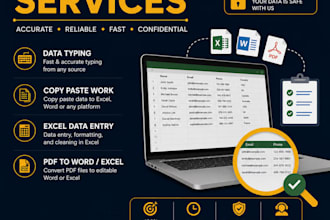 do accurate data entry and excel typing work