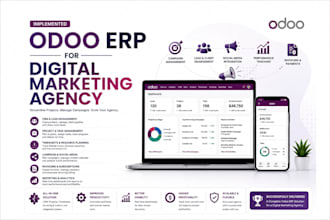 be your expert odoo developer and consultant