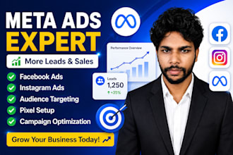manage facebook ads and instagram ads campaigns