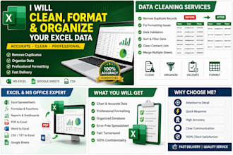 clean, format your excel contact database