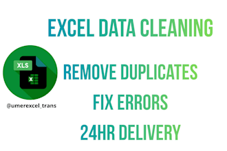 do excel data cleaning, remove duplicates and fix errors