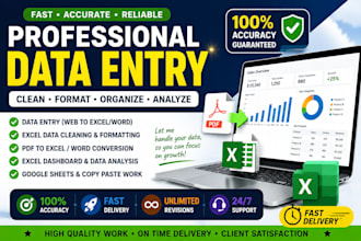 excel data entry dasboard create