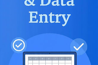 be your virtual assistant for data entry and excel