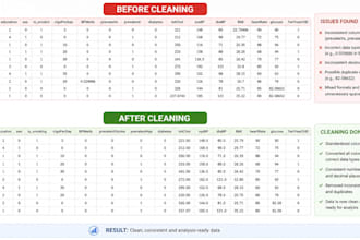 professionally clean and prepare your data for analysis