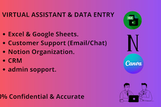 be your expert data entry virtual assistant