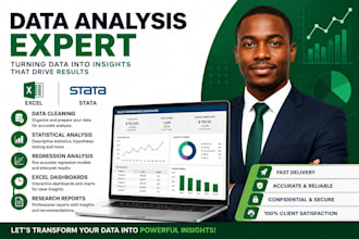 do data analysis, excel dashboard and statistical reports