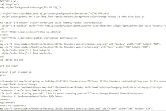 format HTML text, fix layout spacing, and update website content