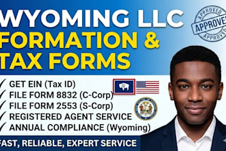 provide wyoming llc registered agent and annal compliance service