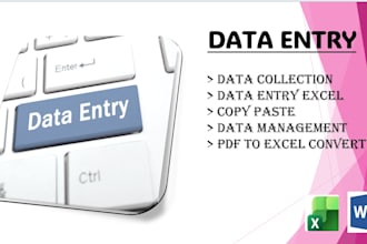 do professional data entry, data management and copypaste