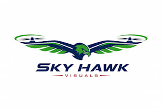 make new style unique sky hawk visuals vintage logo design