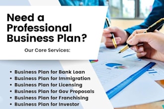 write a professional business plan