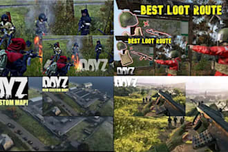 setup a custom dayz server for you