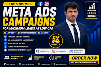 set up and optimize meta ads campaigns for maximum leads at low CPA