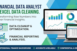 be your financial data analyst and data excel