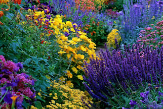do your landscape design