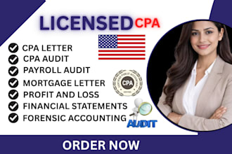 do accounting, US tax return, bookkeeping, finance and audit as senior auditor