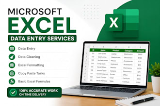 do microsoft excel data entry, data cleaning, and formatting