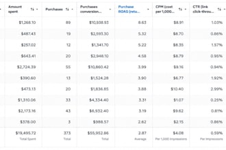 be your facebook and instagram ads expert
