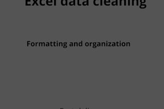 clean, format and organize excel data