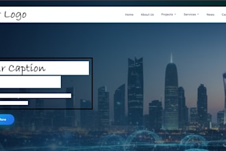 do website development and custom software development
