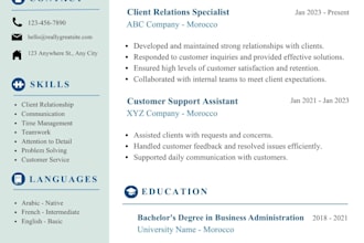 create professional resume design and CV design