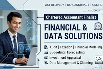 be your financial analyst for modeling, auditing, and data cleaning