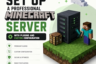 set up a professional minecraft server with plugins and custom configuration