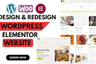 design and redesign wp website using elementor pro as a full stack developer