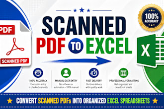 manually convert scanned PDF to excel accurately
