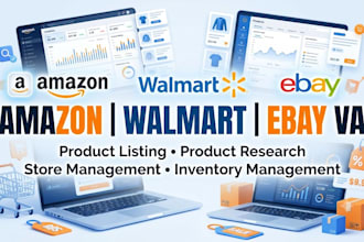 provide amazon, walmart and ebay VA services