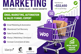 do complete woocommerce SEO promotion to increase sales and ranking