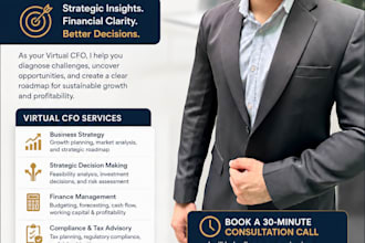provide virtual cfo consultancy