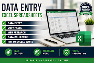do data entry, excel work and web searching