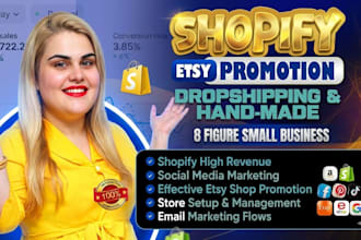 boost shopify sales and ecommerce marketing via shopify promotion and ads set up