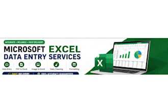 create, clean and format microsoft excel spreadsheets