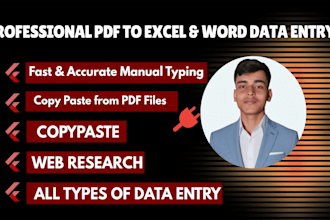 do copy paste data entry from PDF to excel or word in 2 hours
