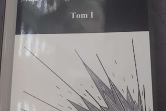 translate anything polish and english