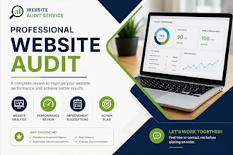 provide complete website audit and optimization report