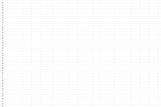 provide professional financial accounting