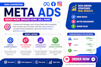 create and manage high converting meta ads for leads, sales and ROI