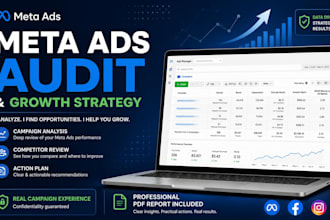 review and audit your facebook and instagram ads strategy