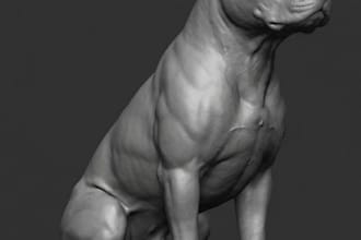sculpt your dog from pic,memorial dog statue,pet sculpt for 3dprinting,stl,resin