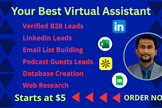 do lead generation, web research and accurate data entry