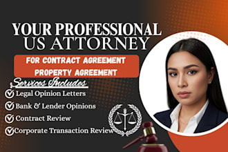 draft legal opinion letter for bank, lender, financial institutions US attorney